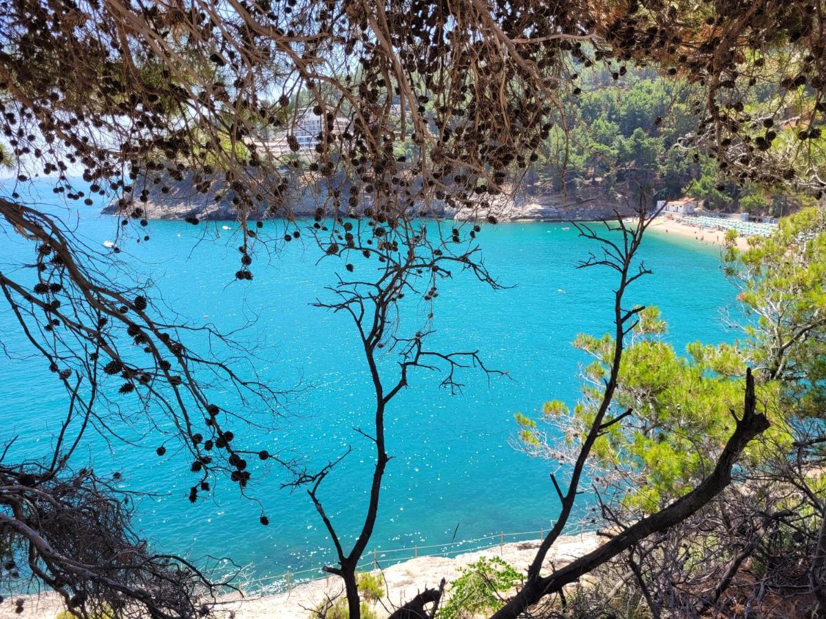 Villetta Roberto Le Macine Di Charme - Pugnochiuso Resort Vieste Buitenkant foto