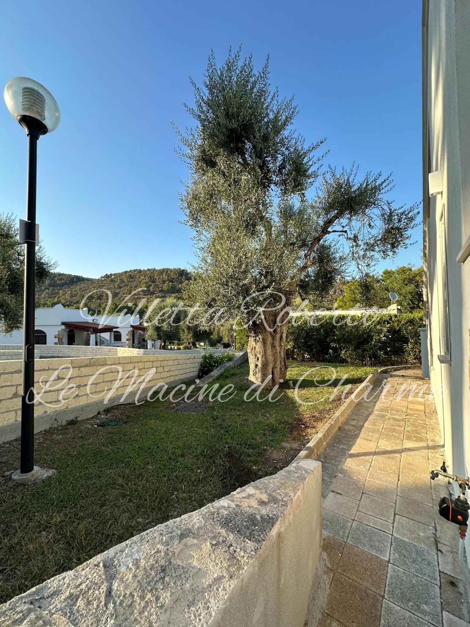 Villetta Roberto Le Macine Di Charme - Pugnochiuso Resort Vieste Buitenkant foto