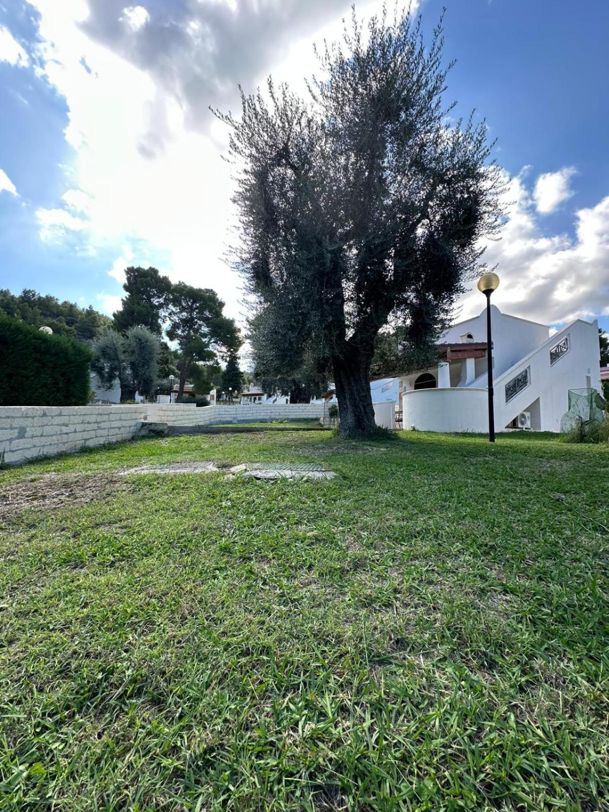 Villetta Roberto Le Macine Di Charme - Pugnochiuso Resort Vieste Buitenkant foto